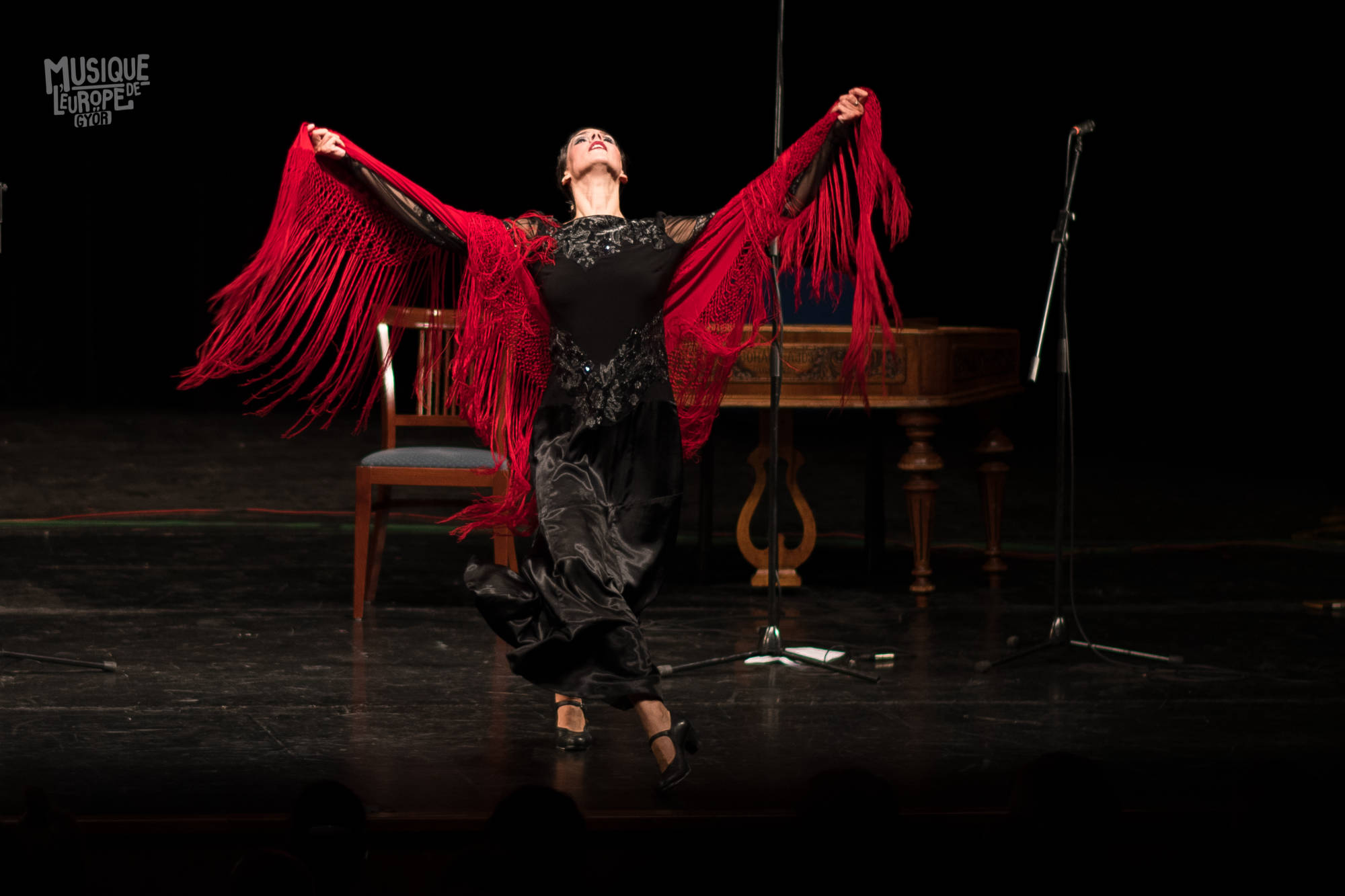 Pirók Zsófia, Flamenco Pirók Zsófia, Flamenco