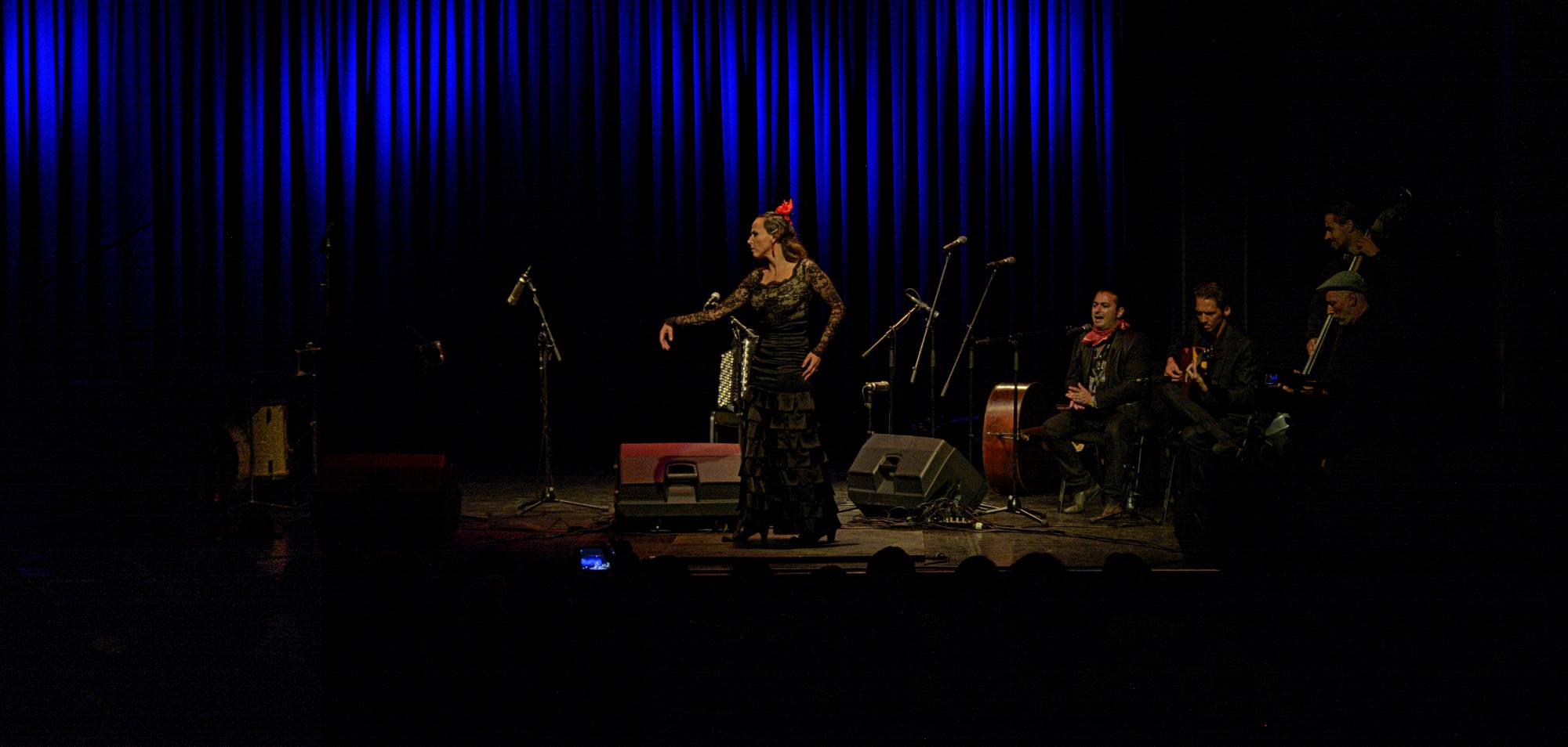 La Kati Cuadro Flamenco