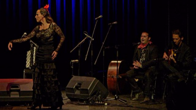 La Kati Cuadro Flamenco